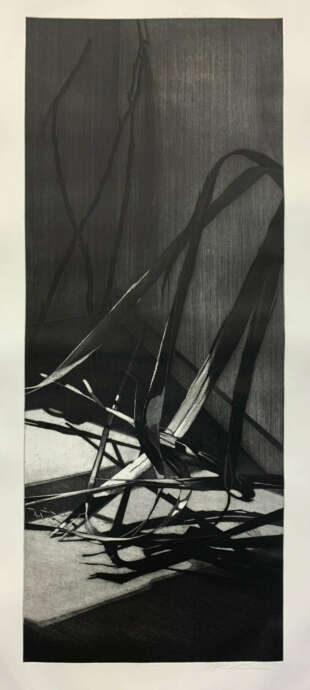 Artist Image #2