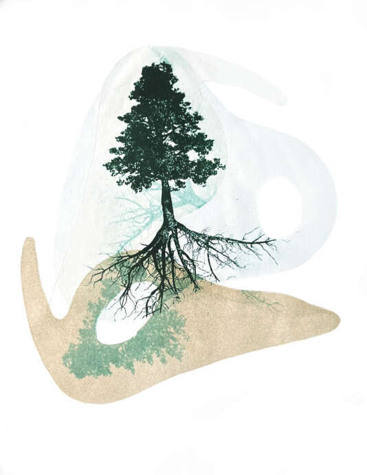 Artist Image #4