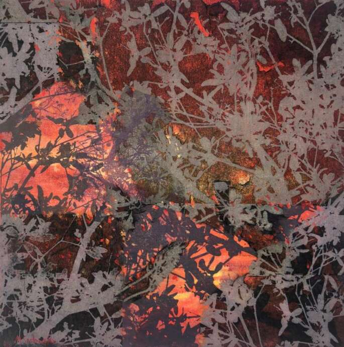 Artist Image #5