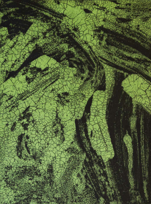 Artist Image #5