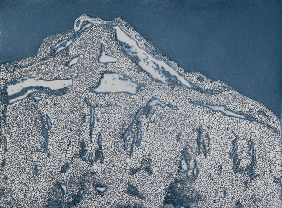 Artist_Image #6