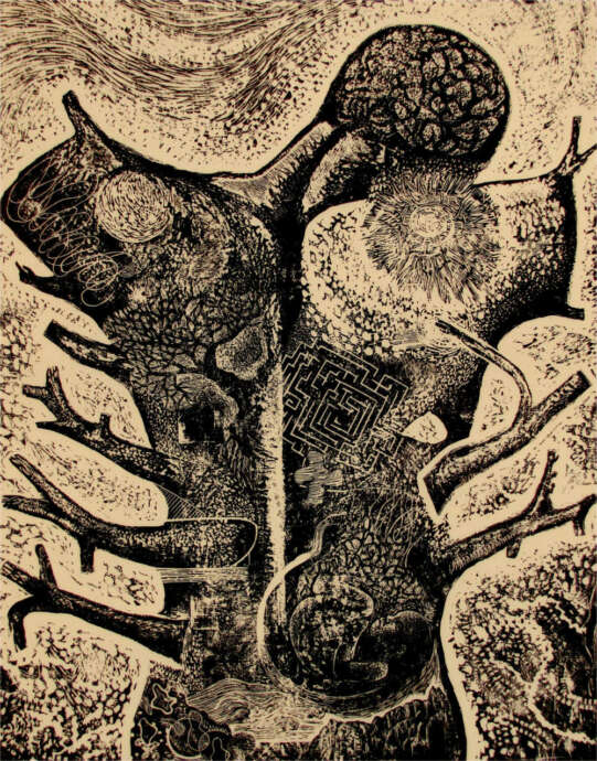 Artist Image #7