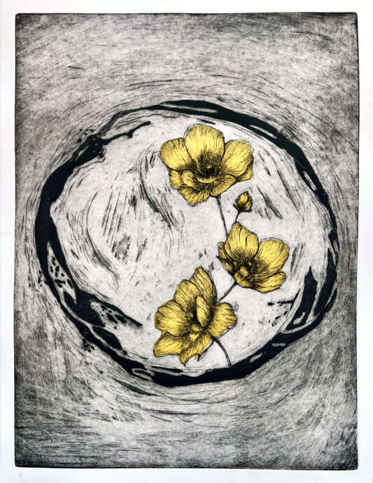 Artist Image #7