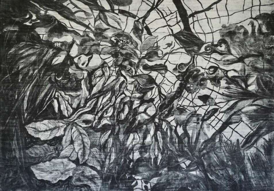 Artist Image #8