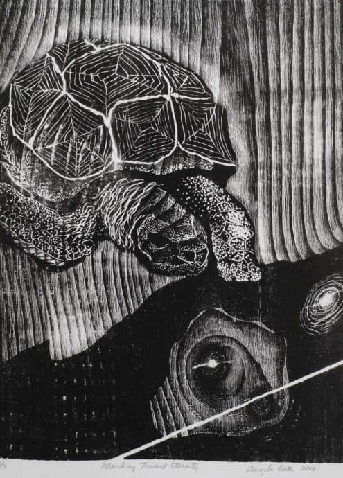 Artist Image #8