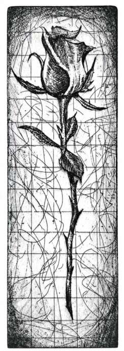 Artist Image #9