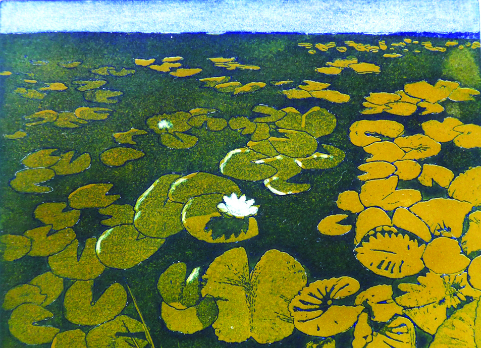 Water Lilies, E