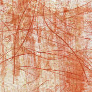 Rosalyn Richards